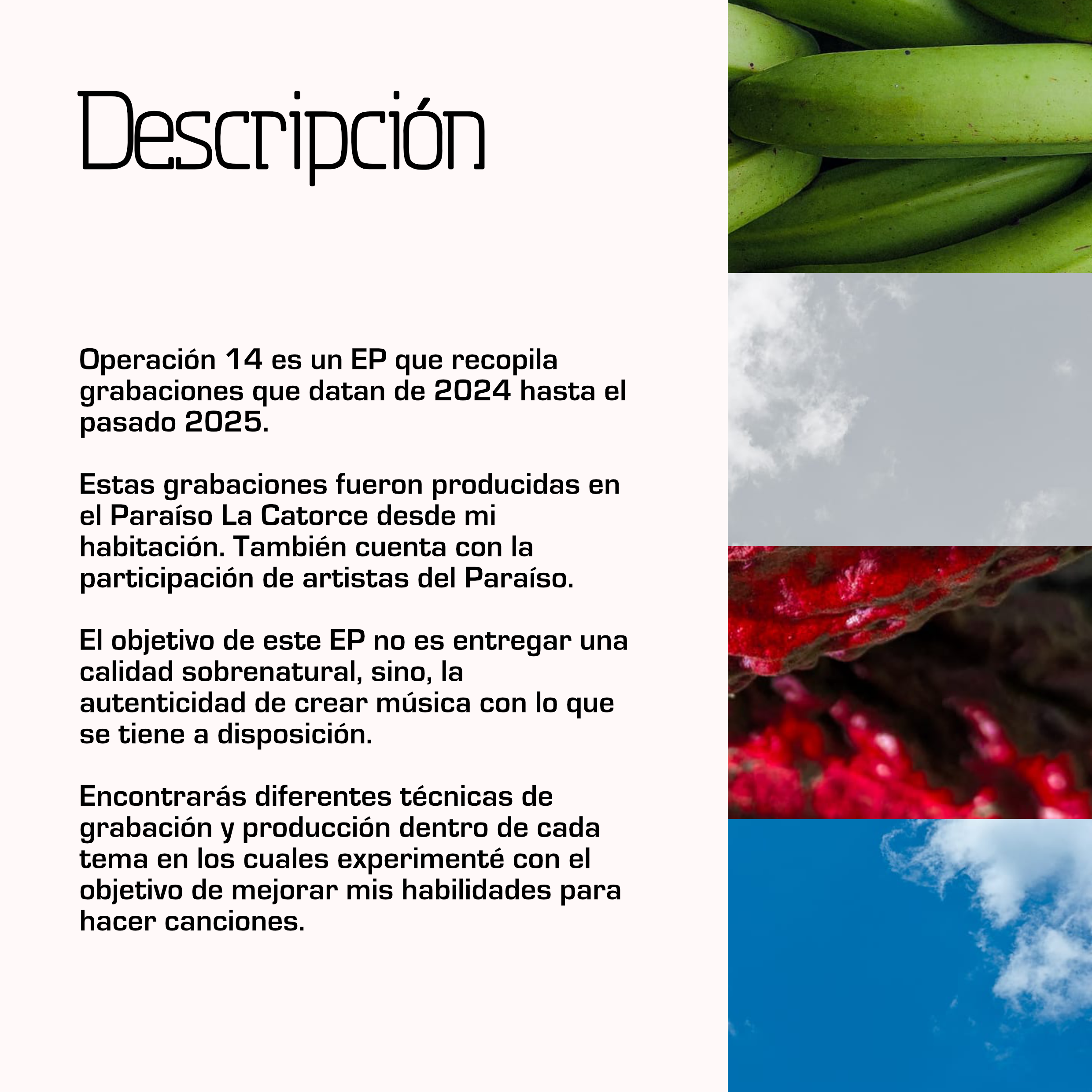 Descripción del EP